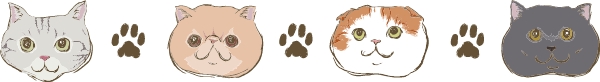 ネコイラスト