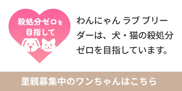 わんにゃん ラブ ブリーダーは、犬・猫の殺処分ゼロを目指しています。