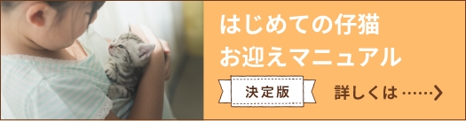 はじめての仔猫お迎えマニュアル・決定版