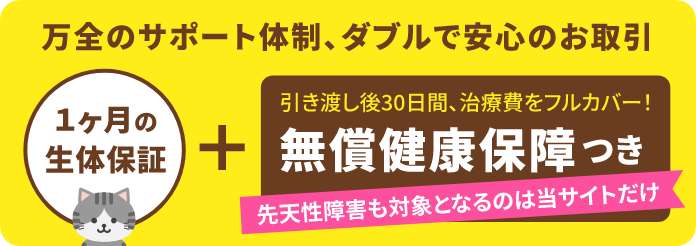 安心の無償健康保障