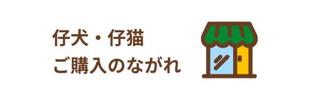 仔犬・仔猫 ご購入のながれ