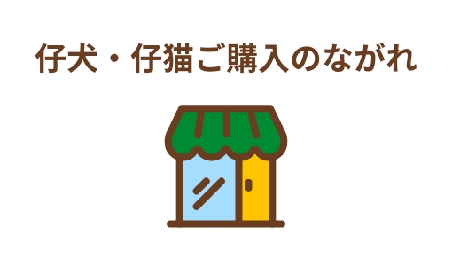 仔犬・仔猫ご購入のながれ