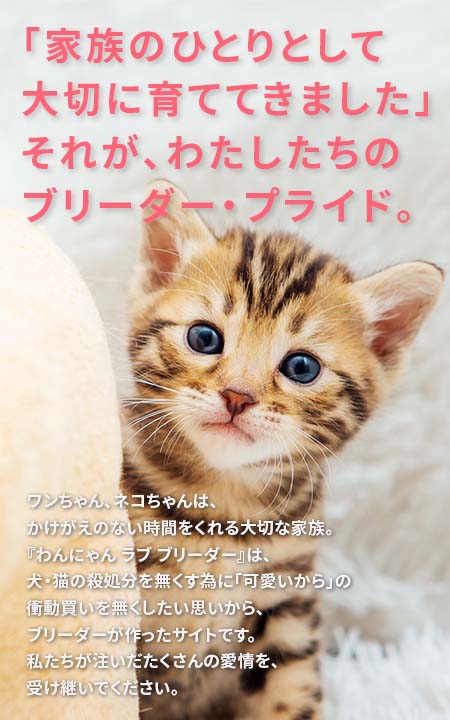 「家族のひとりとして⼤切に育ててきました」それが、わたしたちのブリーダー・プライド。