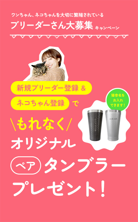 ブリーダーさん大募集