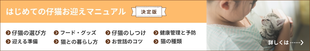 はじめての仔猫お迎えマニュアル・決定版