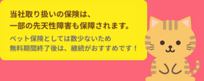 先天性障害等保障特約がついています
